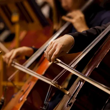 dinner-viennese-concert-vienna-austria.jpg
