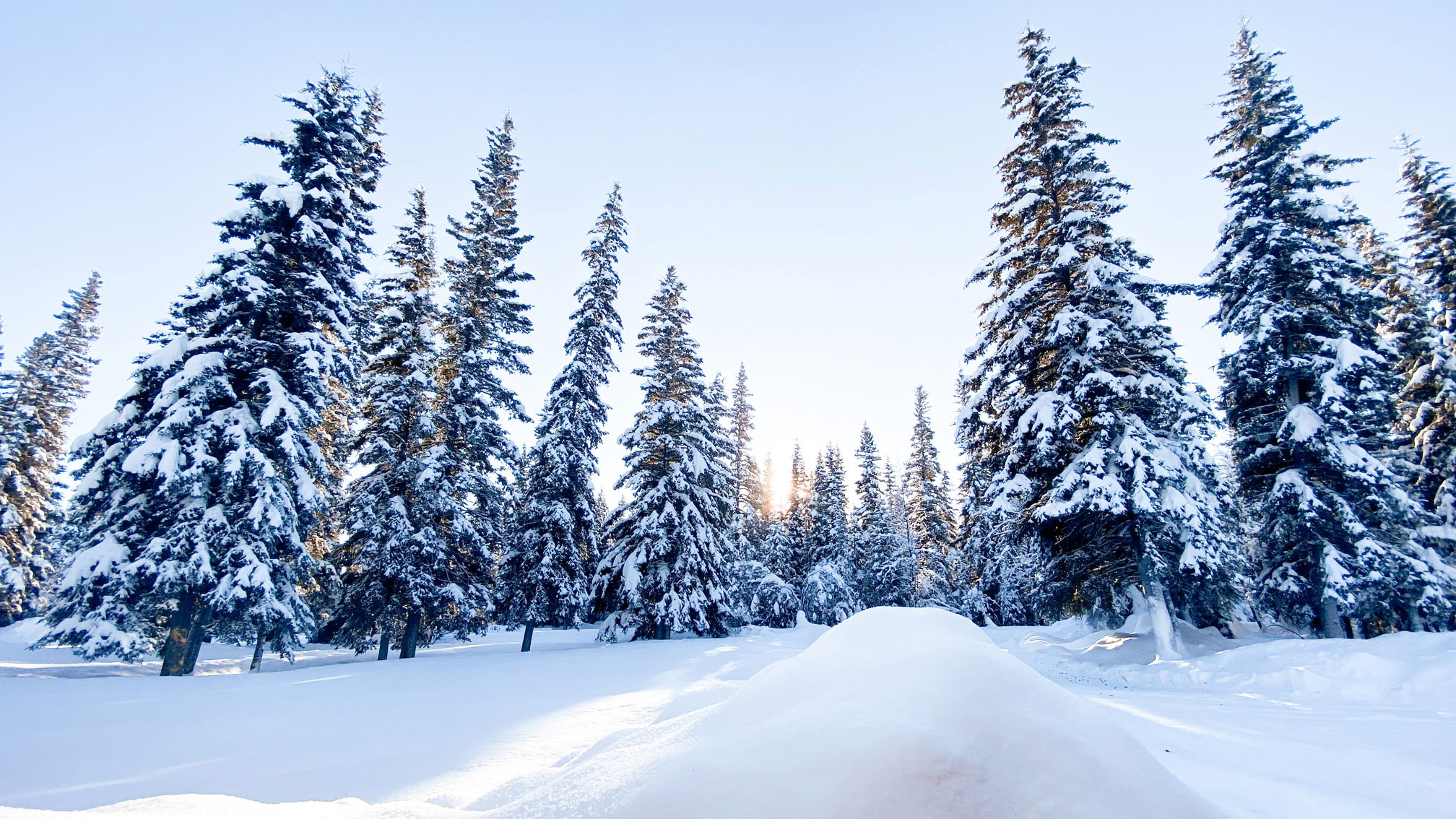 winters-in-fairbanks-alaska-usa.jpg