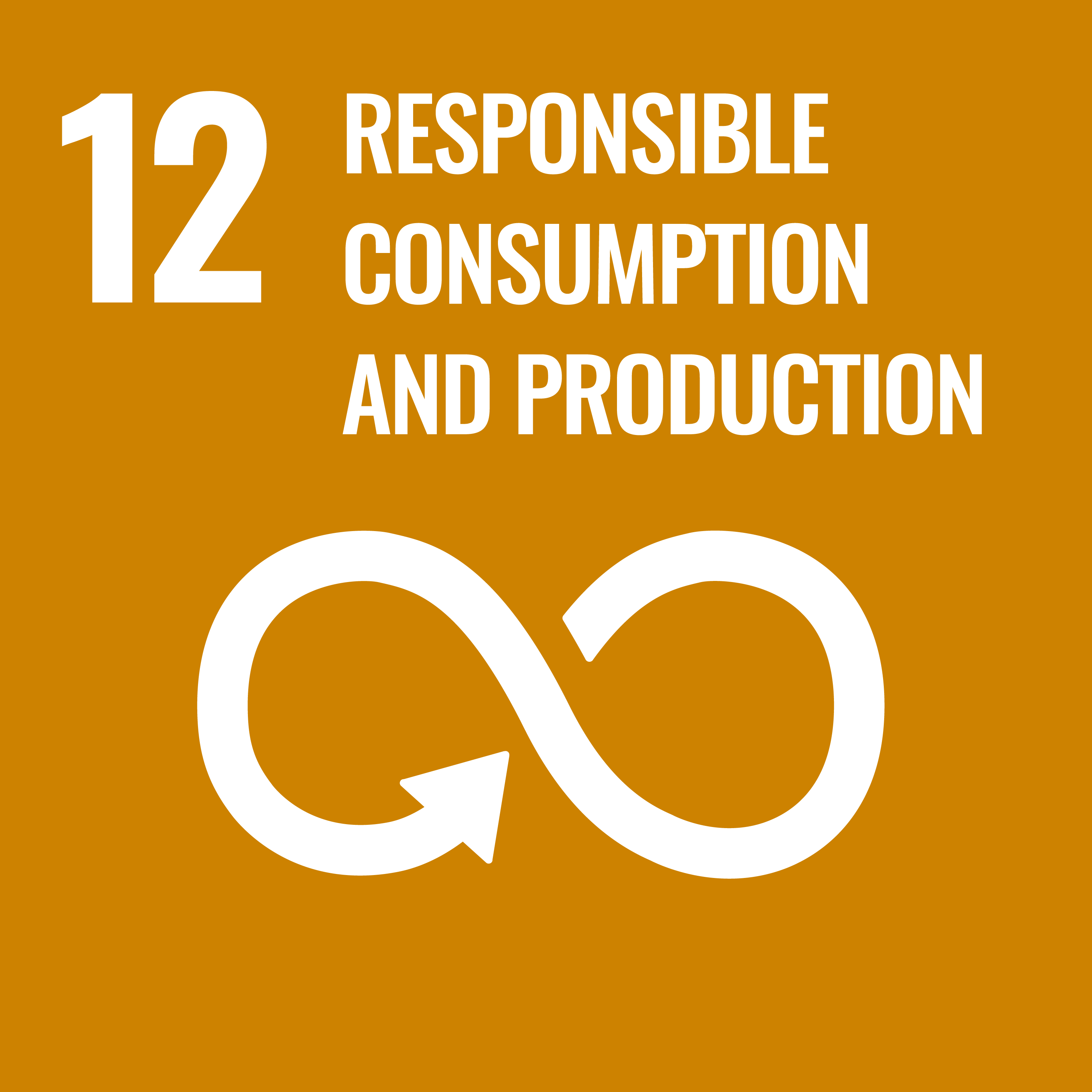 '12 Responsible Consumption and Production' against brown background