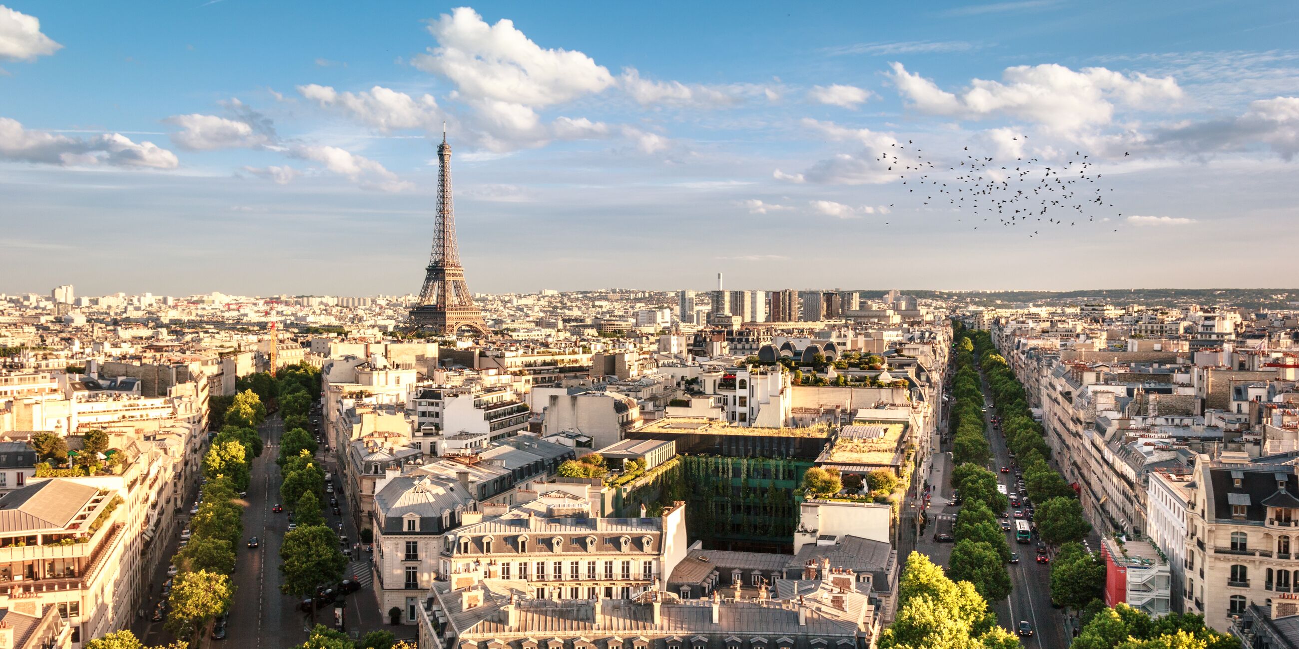 Paris with the Eiffel Tower in the background