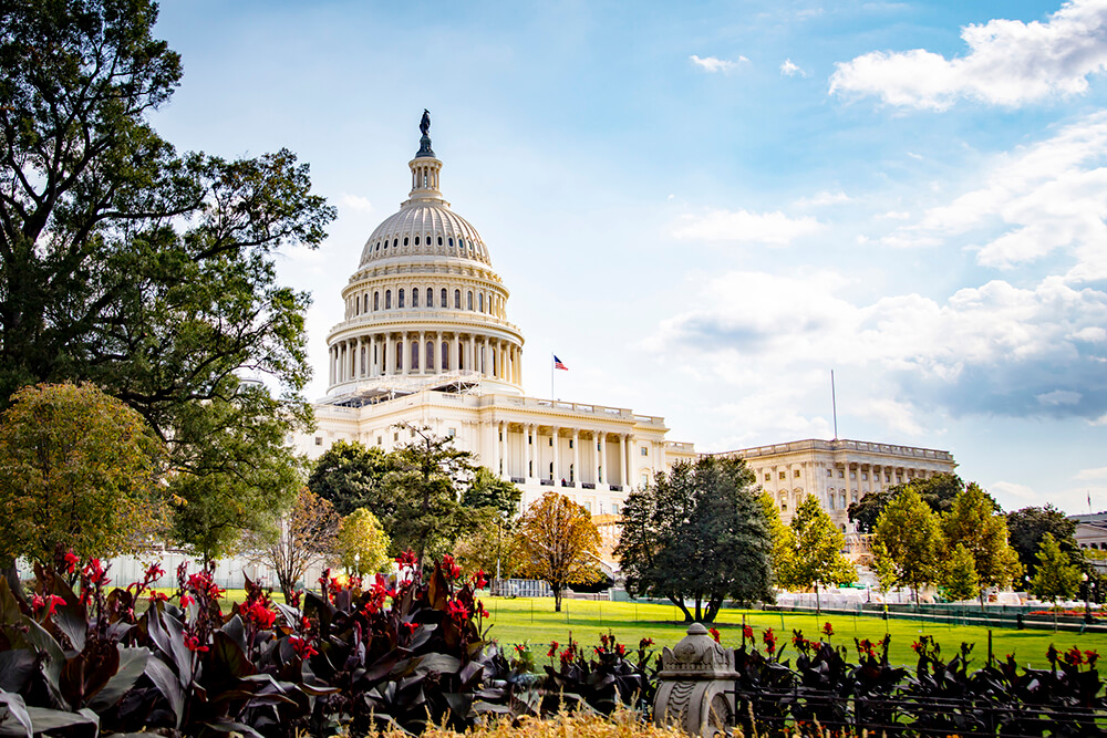 Usa Washington Dc Capitol Building