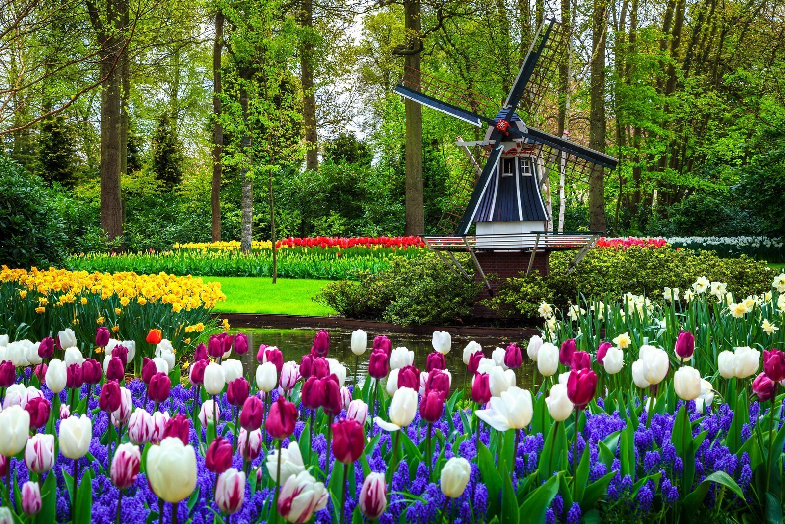 keukenhof-amsterdam-netherlands.jpg