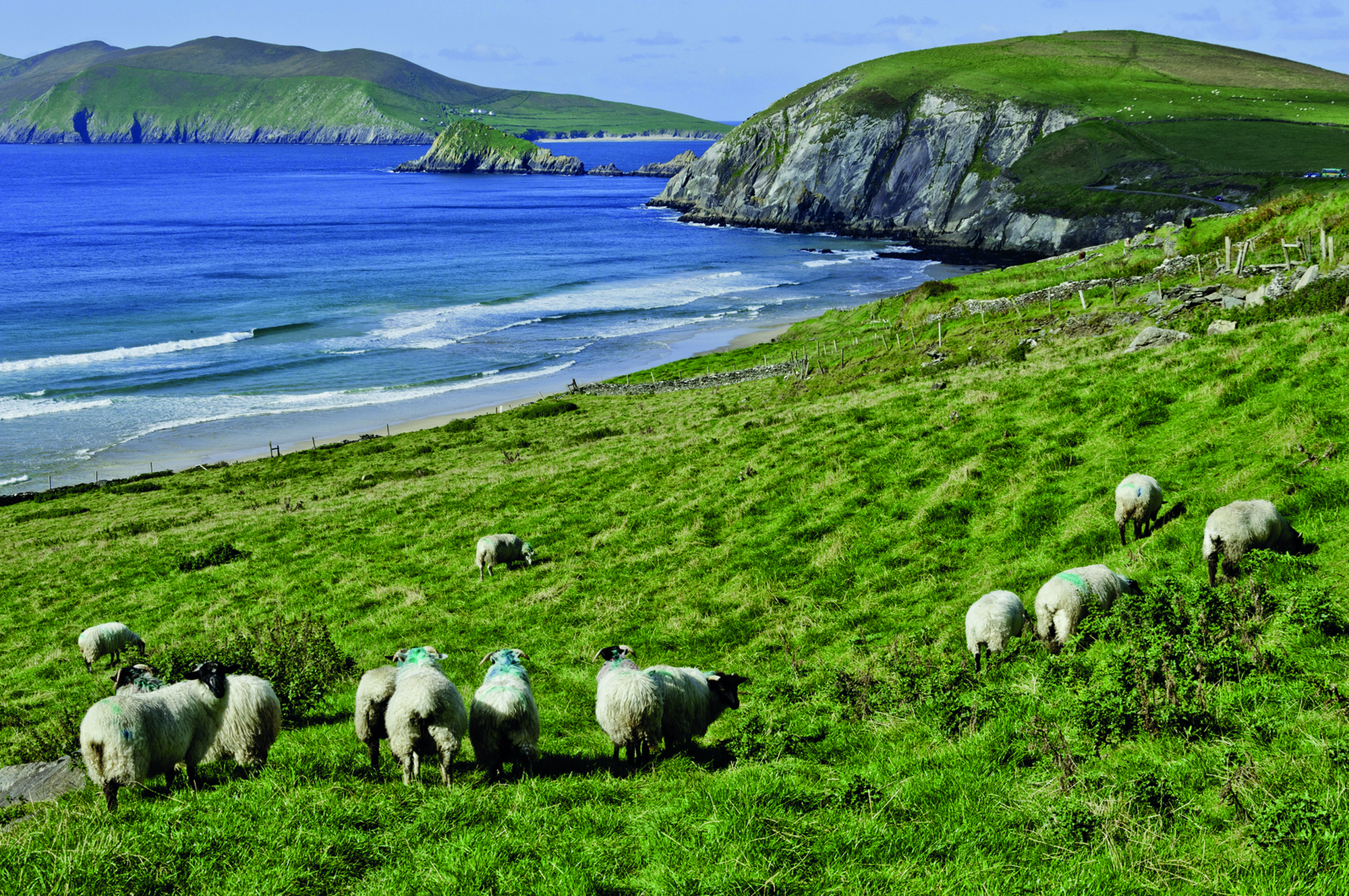 65_irish-coast-dingle-ireland.jpg