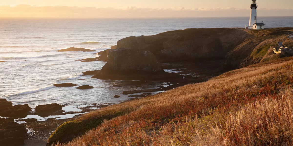 Best of the Pacific Northwest, Guided Tour