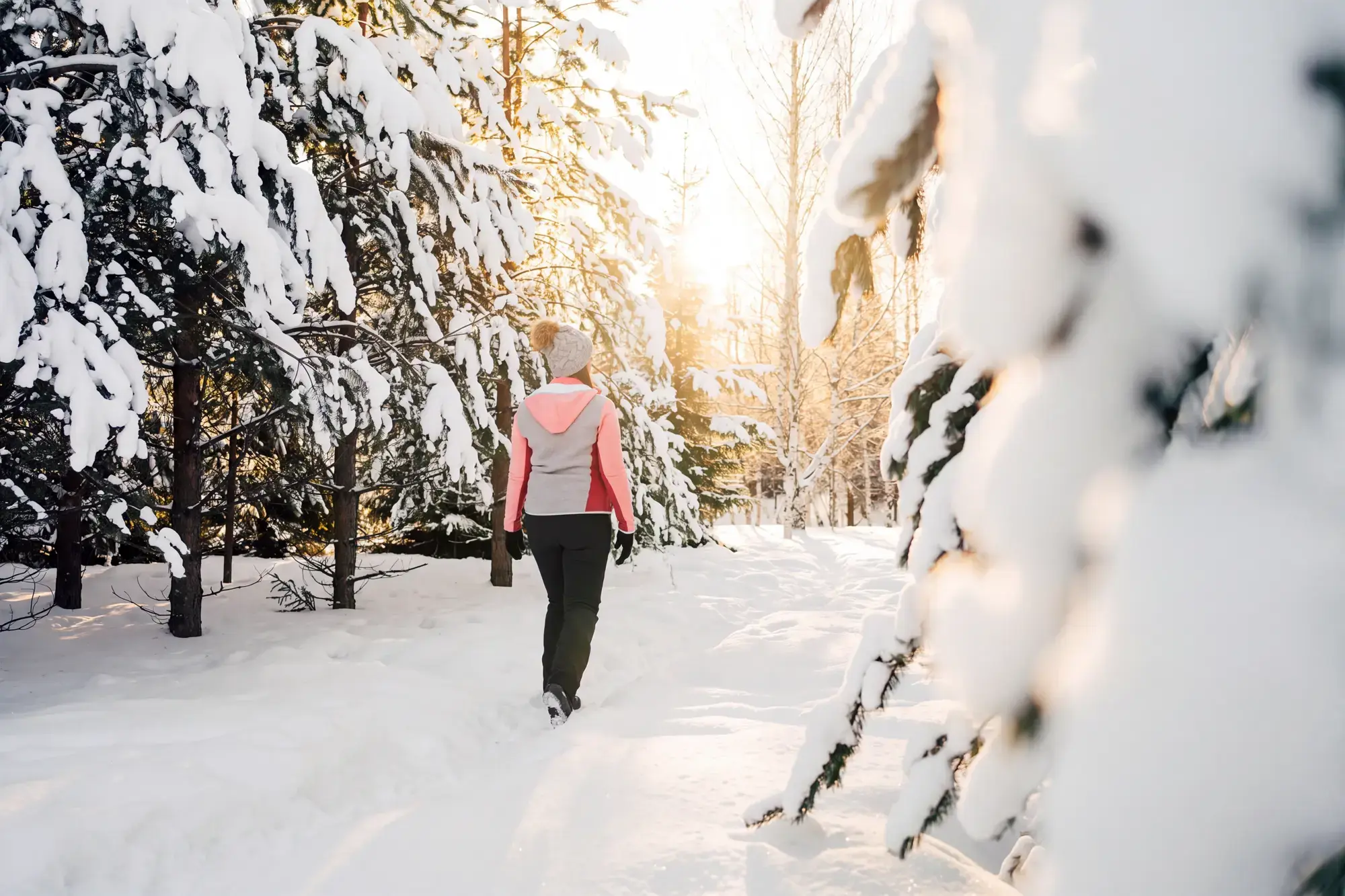 day-hero-icy-trees-finland-1385191529.webp