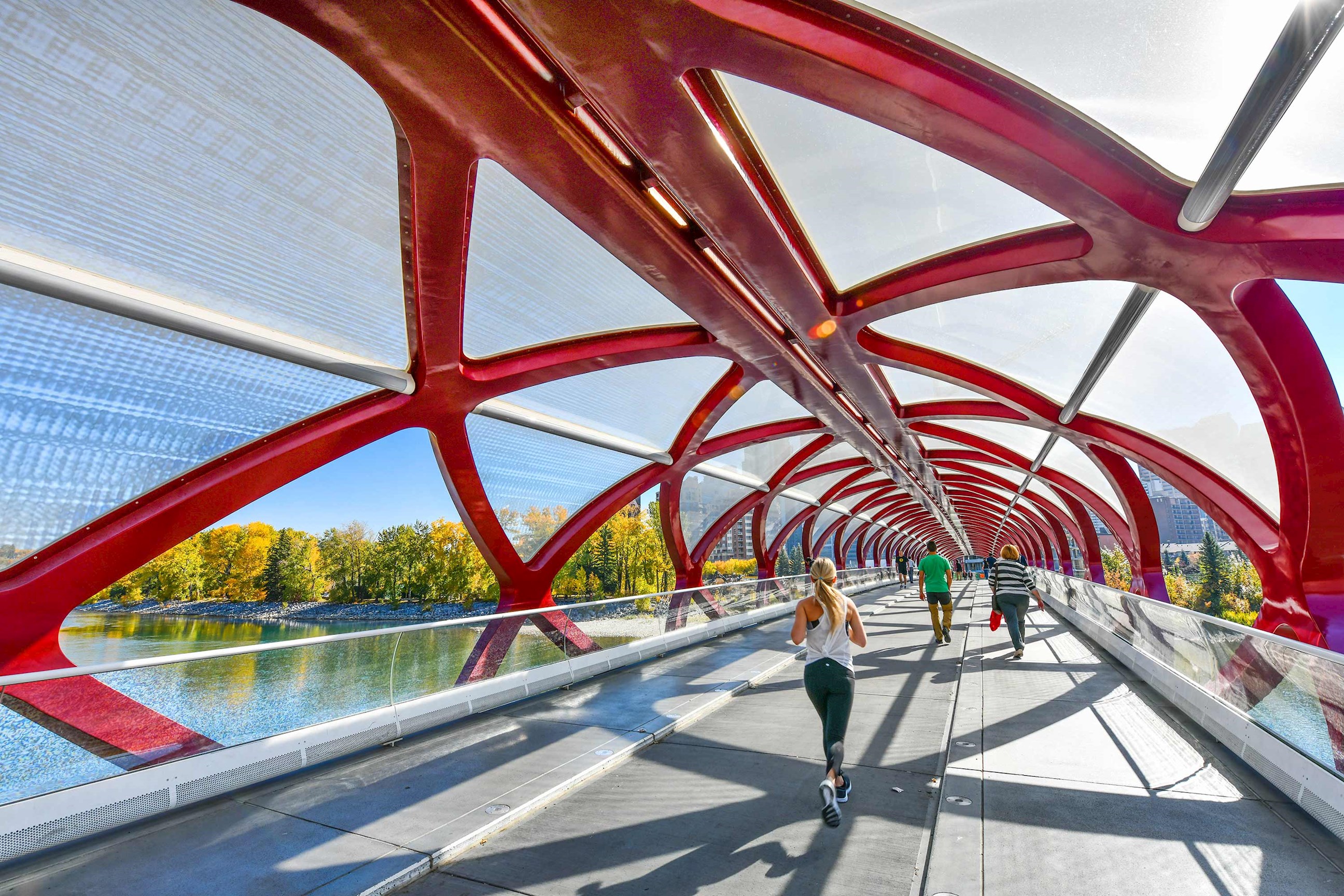 peace-bridge-calgary-canada.jpg