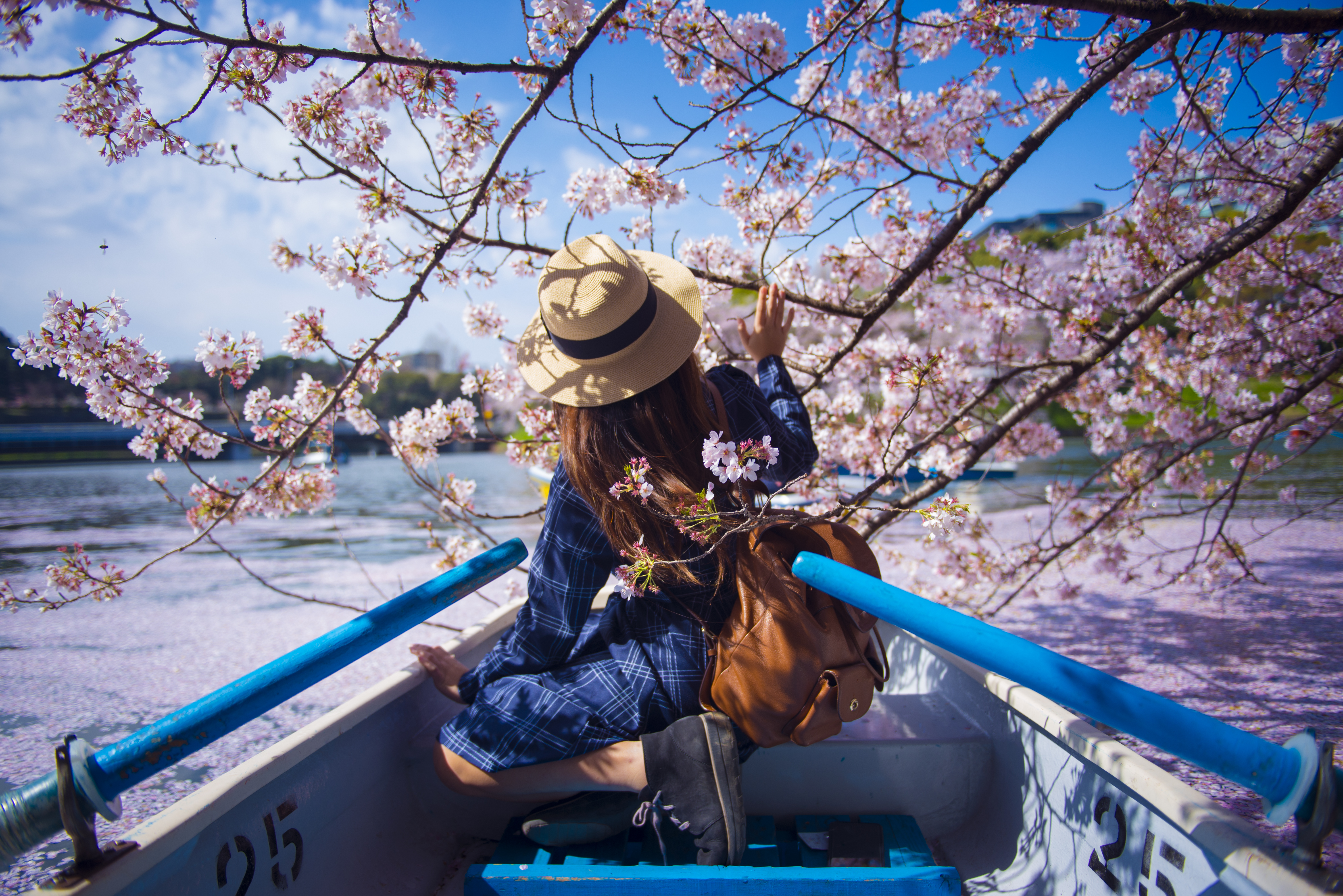 Asian Woman Is Enjoy Travel In Japan During Spring Season 942550846