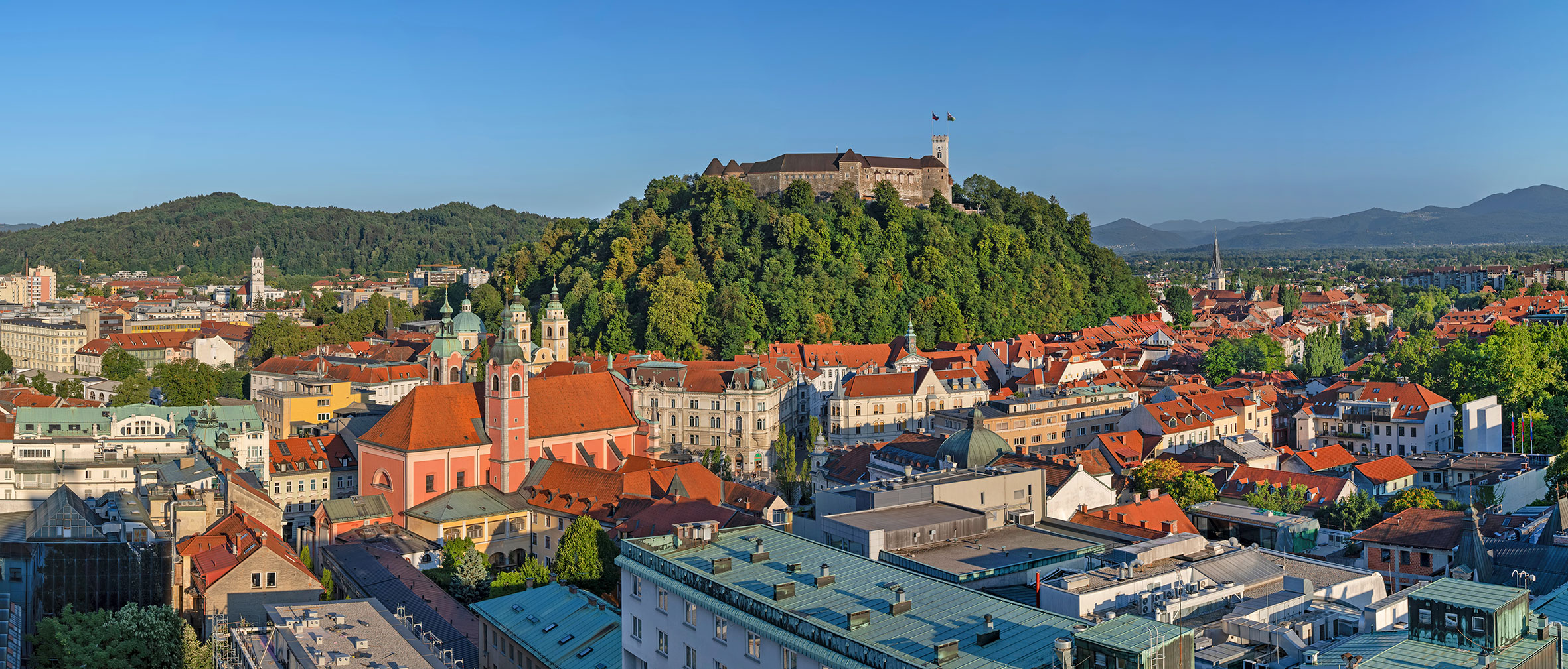 slovenian-dinner-ljubljana-slovenia.jpg