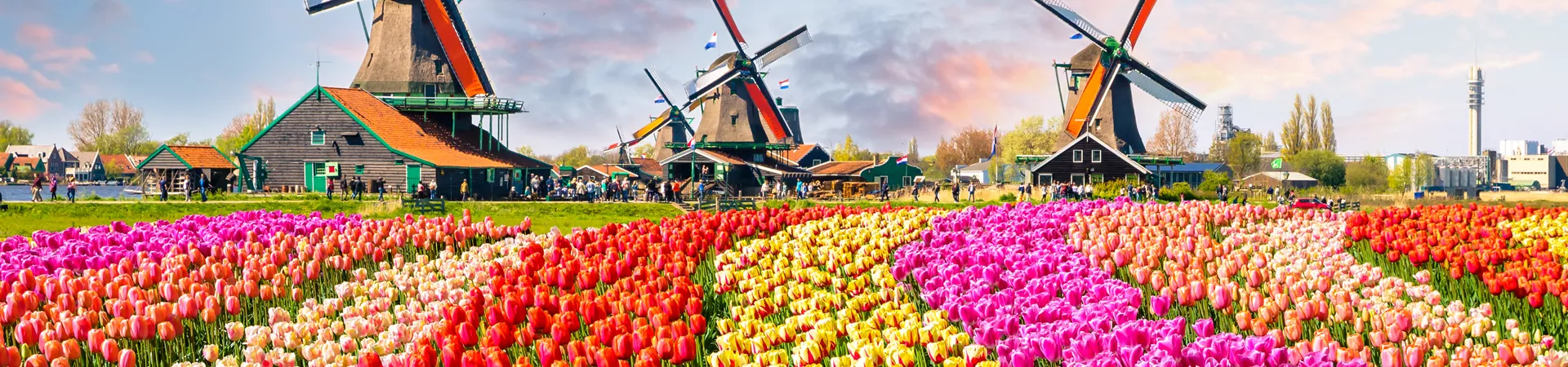 Traditional Dutch Windmills And Houses Near The Canal In Zaanstad Village, Zaanse Schans, Netherlands, Europe 937057490