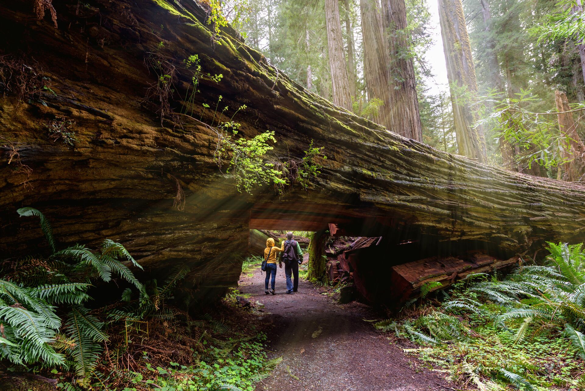 Two people hiking underneath a passage in California