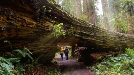 Two people hiking underneath a passage in California