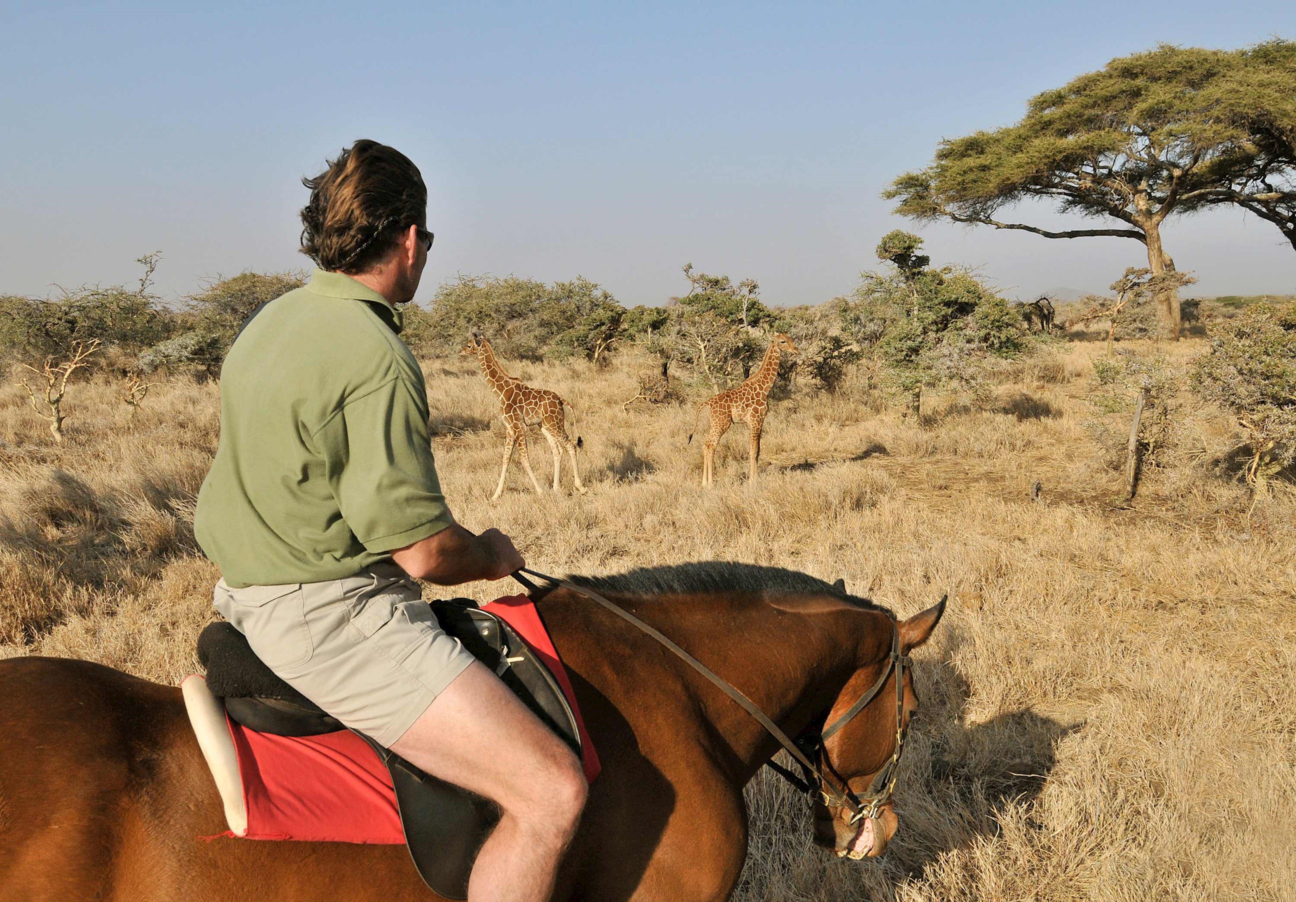 enjoy-horseback-ride-aberdare-wildlife-sanctuary-nyeri-kenya.jpg