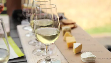 Glasses of wine and board of cheese