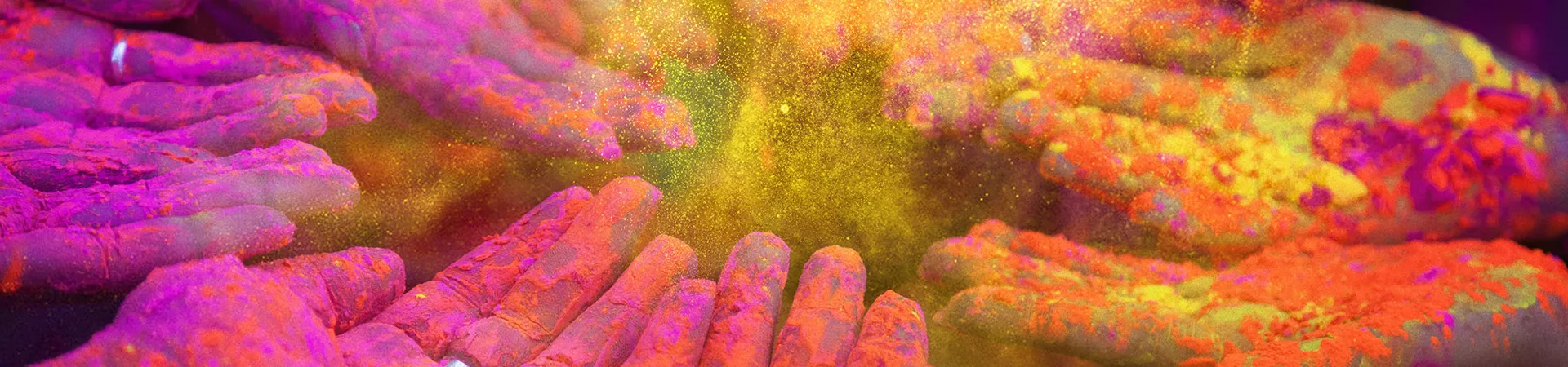 Holi festival in India