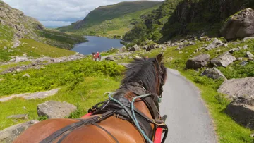 jaunting-cart-ride-killarney-ireland.jpg