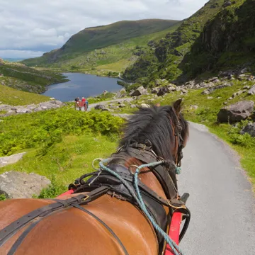 jaunting-cart-ride-killarney-ireland.jpg