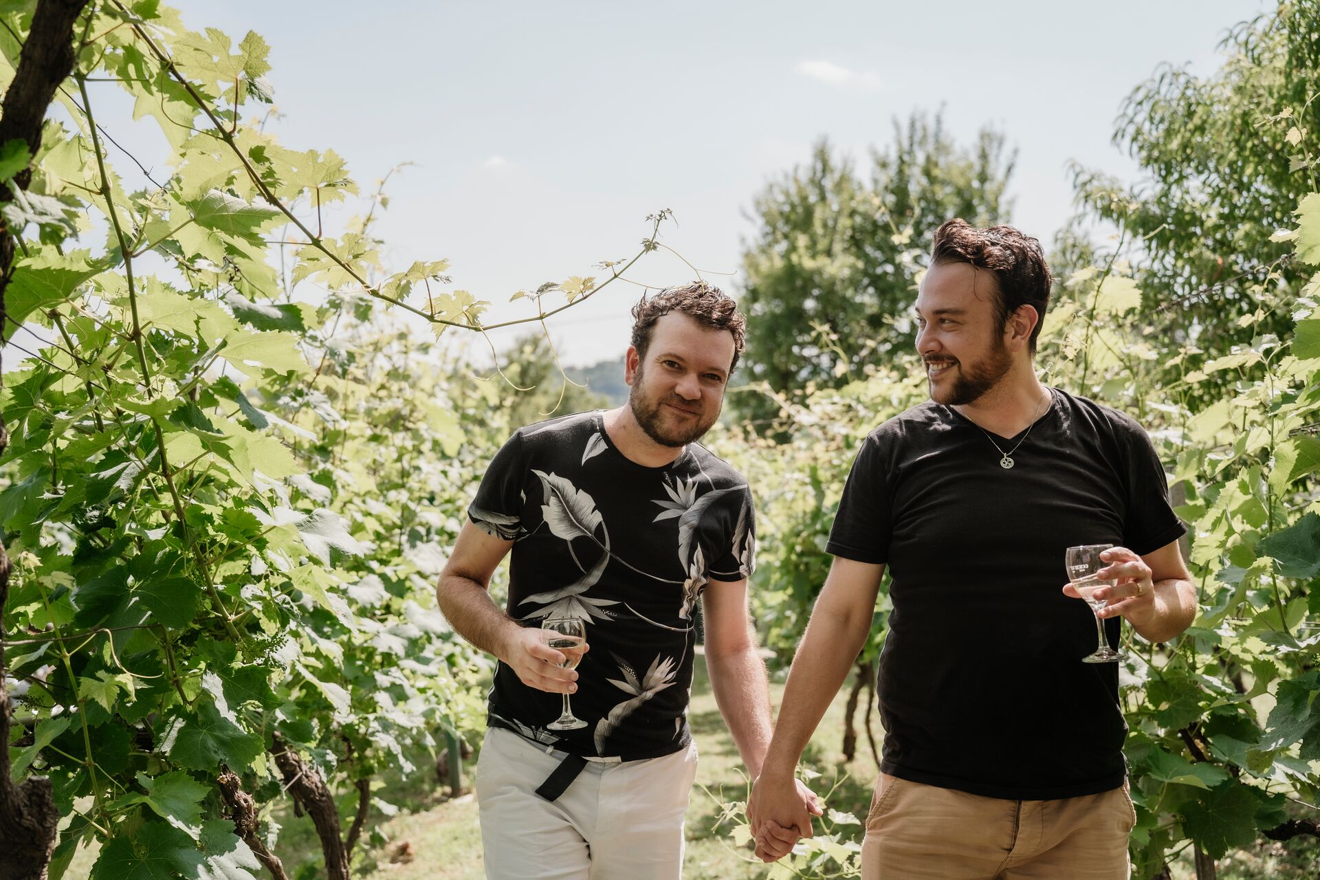 A couple walk through a vineyard holding glasses of wine
