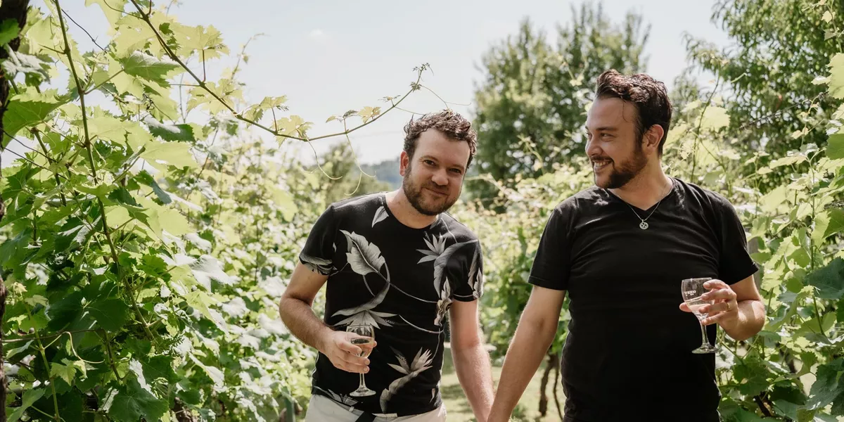 A couple walk through a vineyard holding glasses of wine