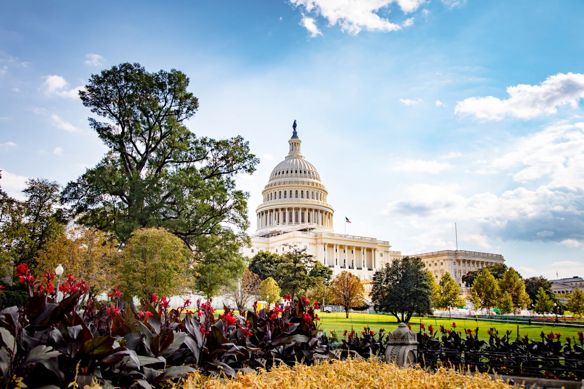 The Capitol Building in Washington D.C. on East Coast, USA with flowers in the foreground