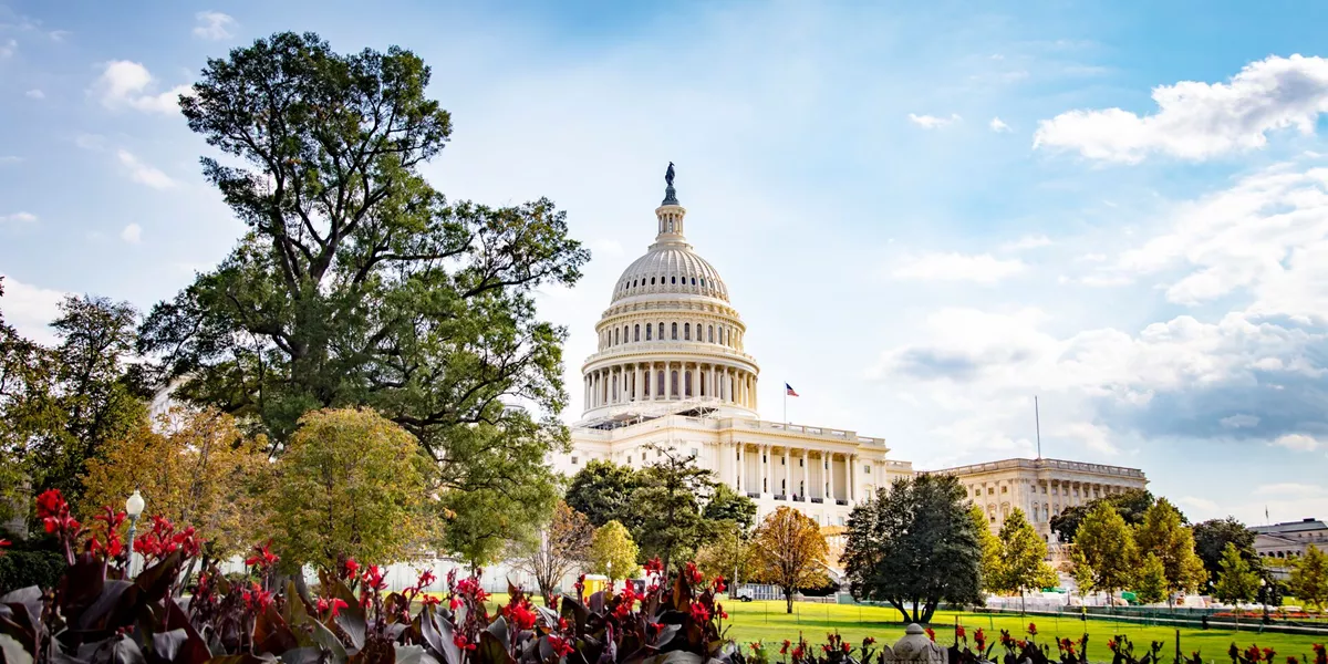 The Capitol Building in Washington D.C. on East Coast, USA with flowers in the foreground