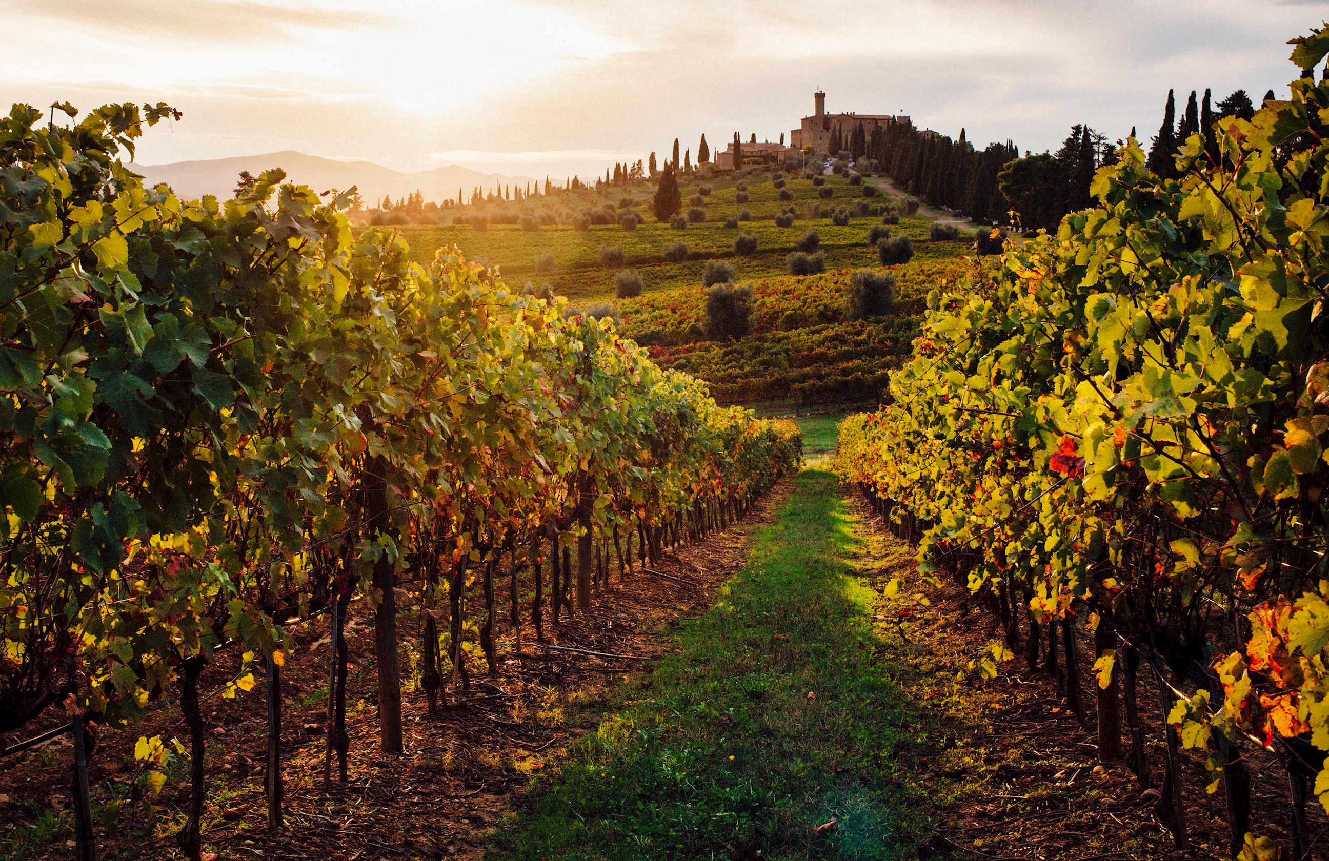 Rome and Tuscan Highlights Guided Tour