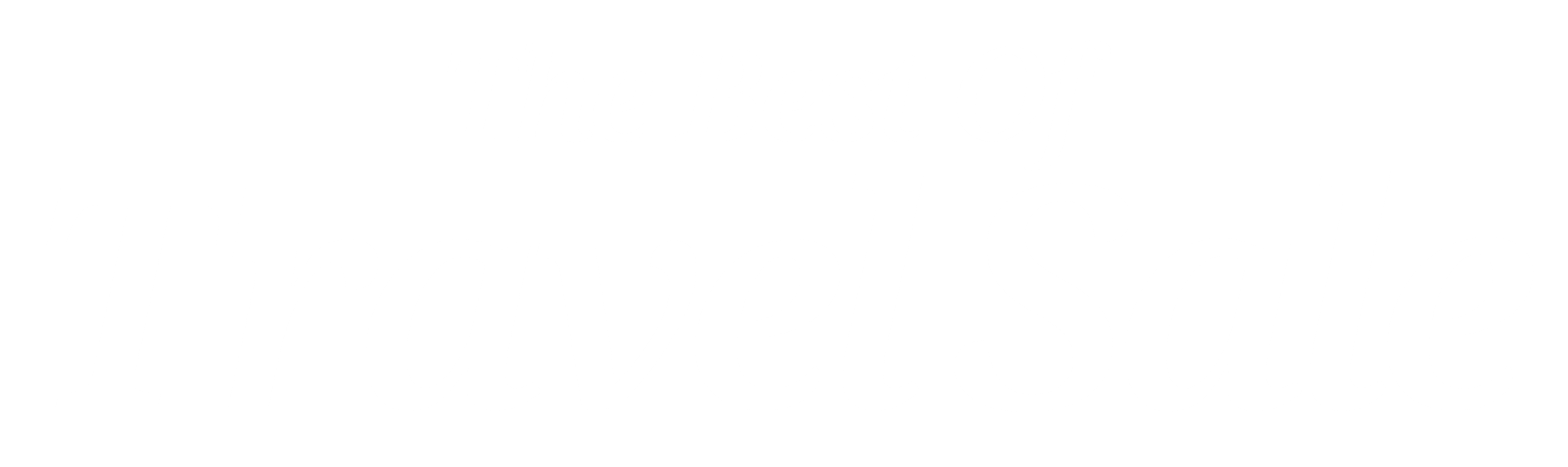 TT BOTS Logo Horizontal White