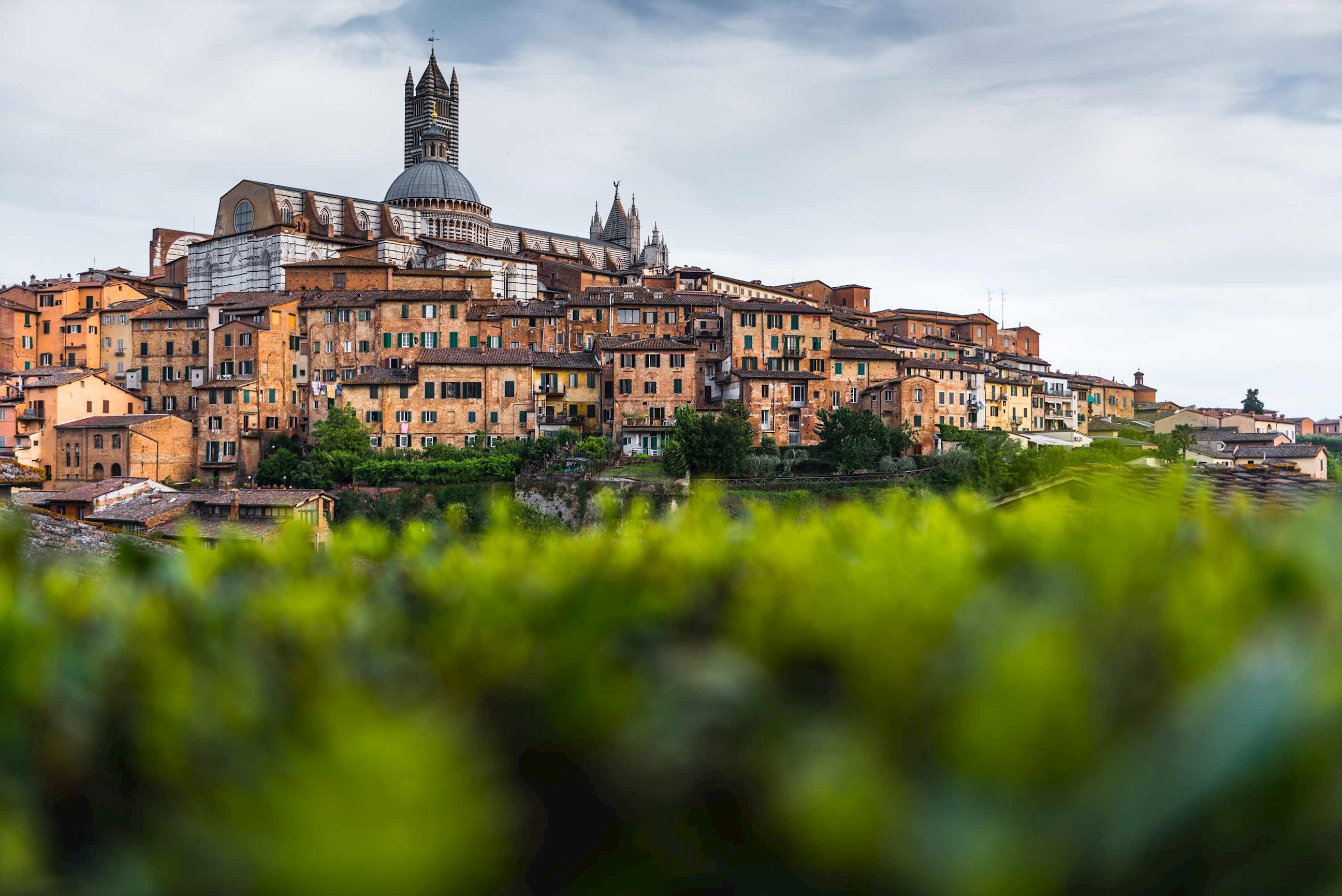 cathedral-siena-italy.jpg