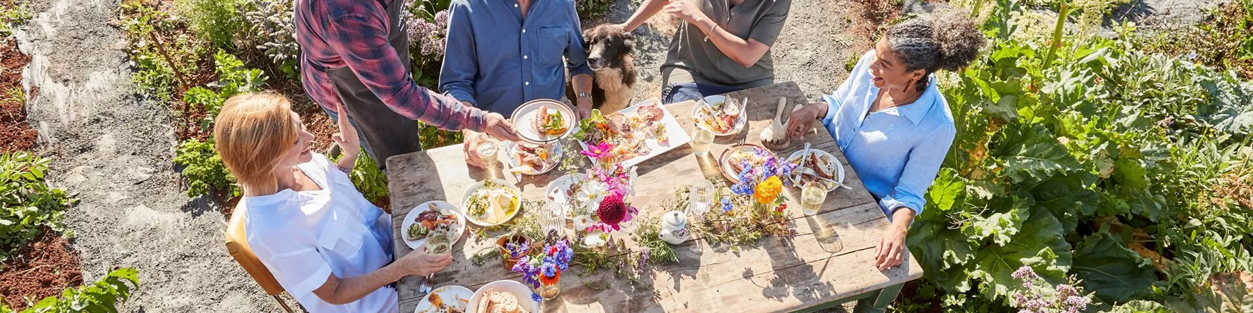 A group of people and a dog enjoying a lunch in a field