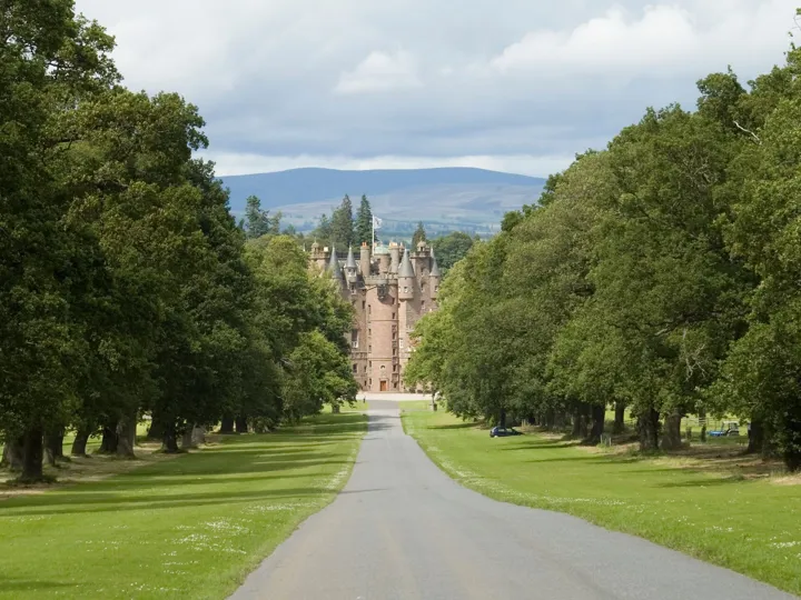 Road surrounded by trees leading to the Glamis Castle, Scotland