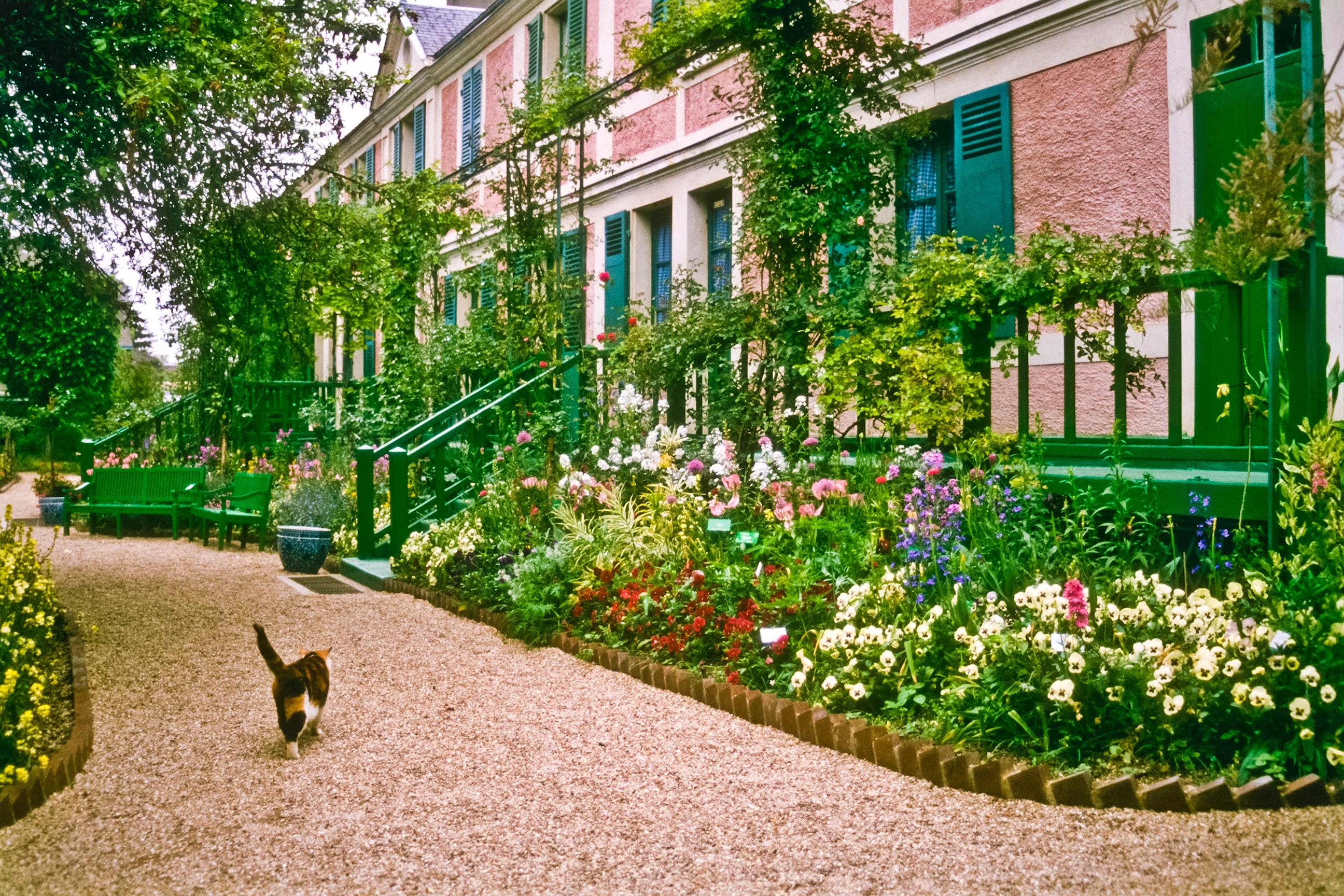 A cat walking past the Giverny House of Claude Monet