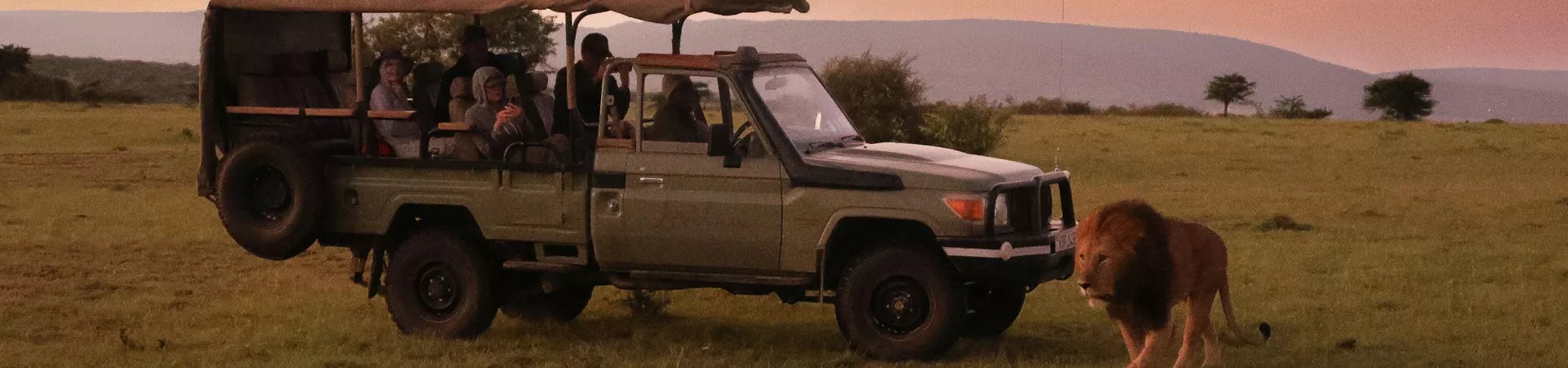 Meg Von Haartman Rtzugho6x S Unsplash