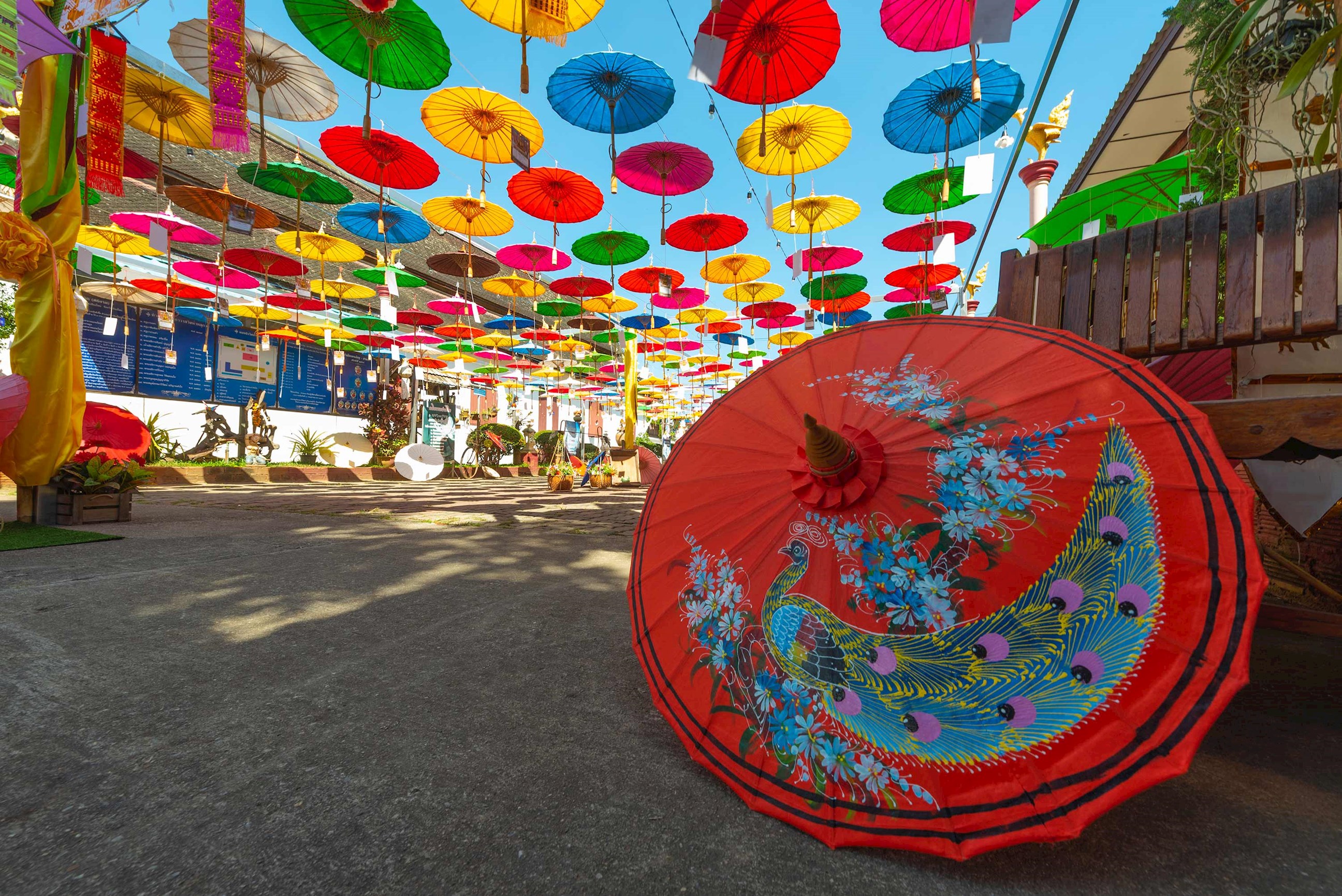 umbrellas-wat-tha-luk-chiangmai-thailand.jpg