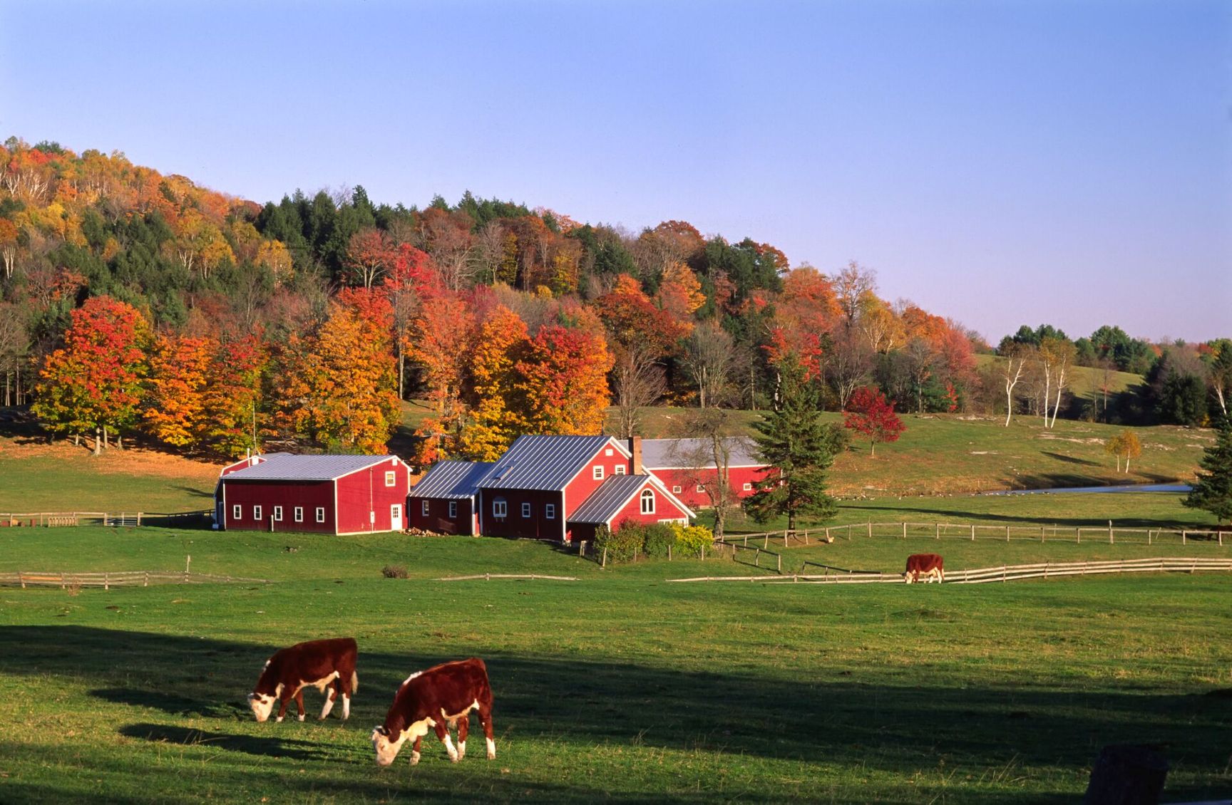 farm-near-thetford-vermont-usa-103455807.jpg