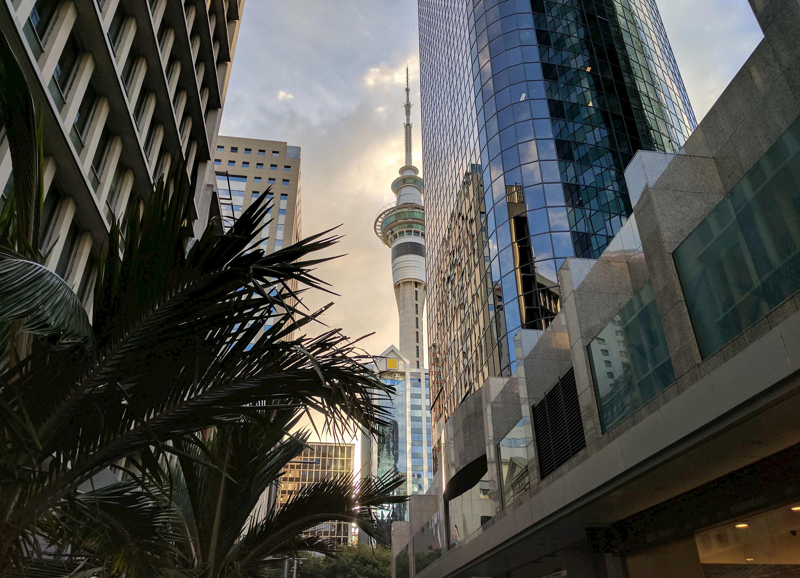 sky-tower-auckland-new-zealand.jpg
