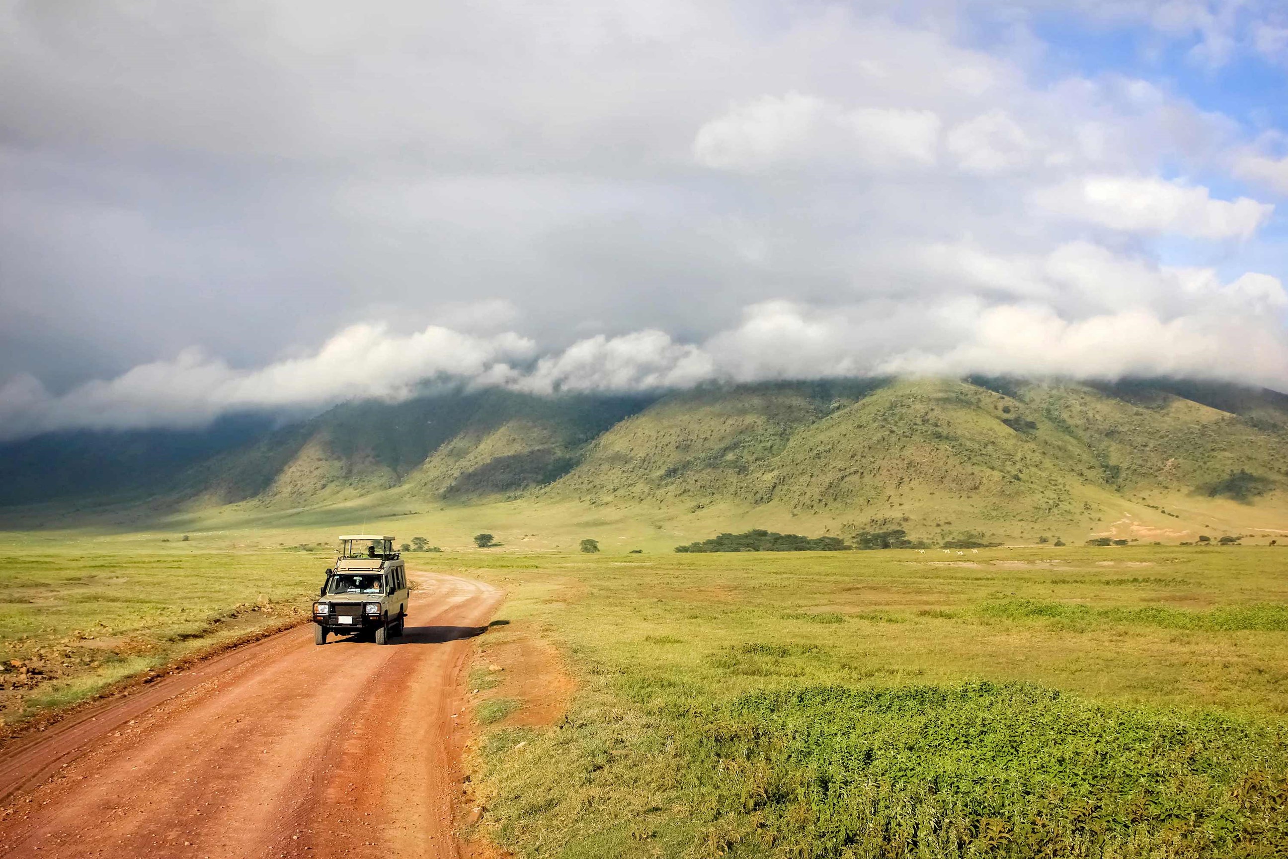 safari-national-park-ngorongoro-crater-tanzania.jpg