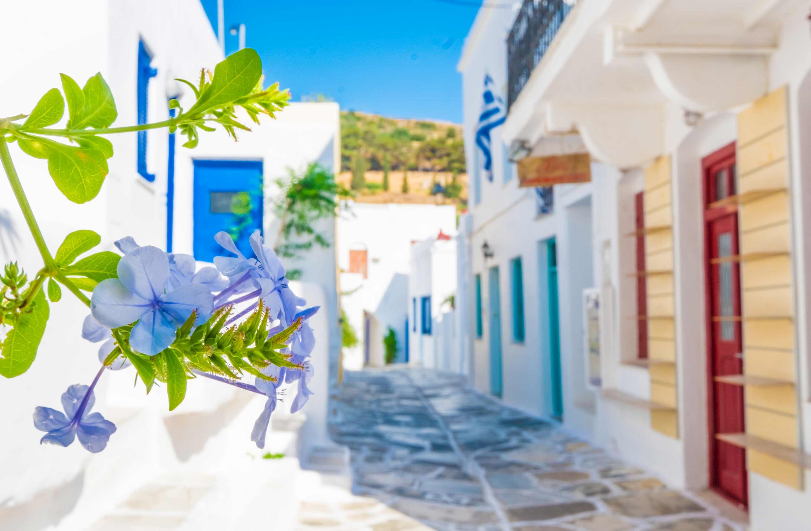 street-houses-mykonos-greece.jpg