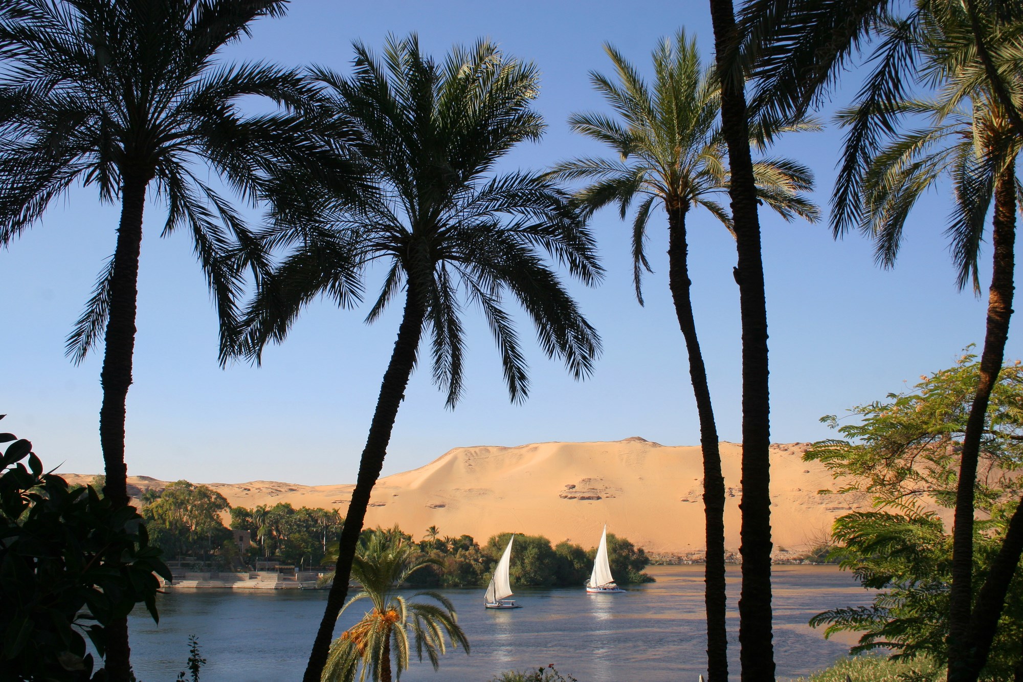 feluccas-river-nile-aswan-egypt.jpg