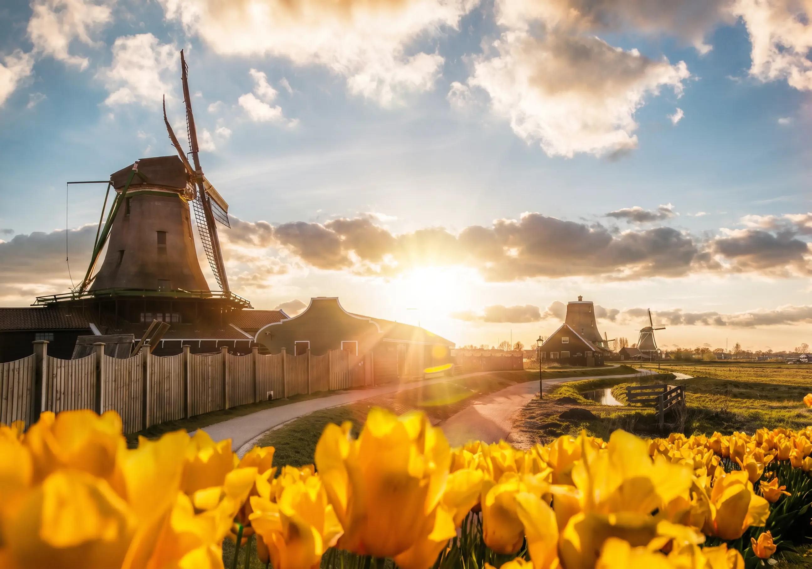 day-hero-traditional-dutch-windmills-amsterdam-netherlands-1212132737.webp