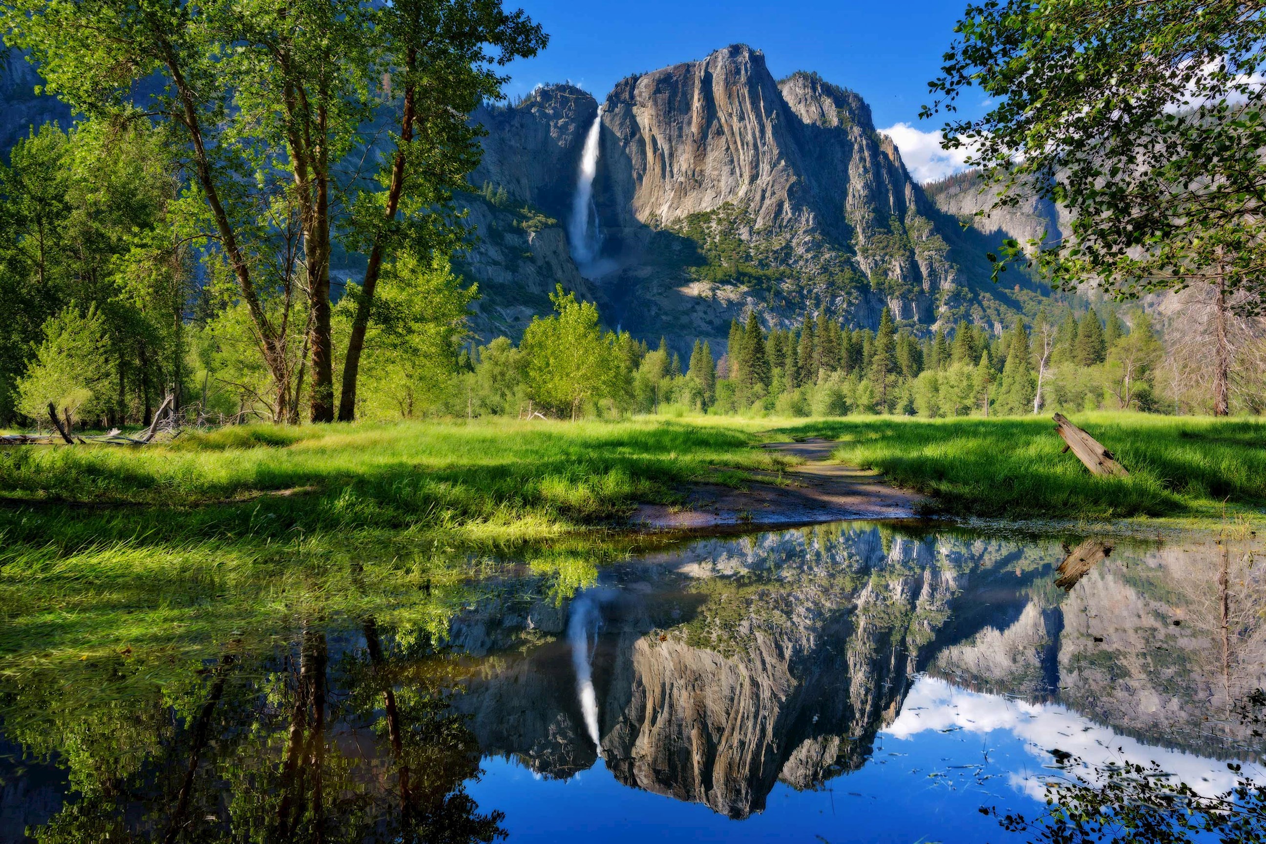 view-yosemite-national-park-las-vegas-usa.jpg