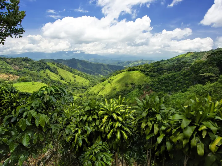 View of Costa Rica mountains and forest