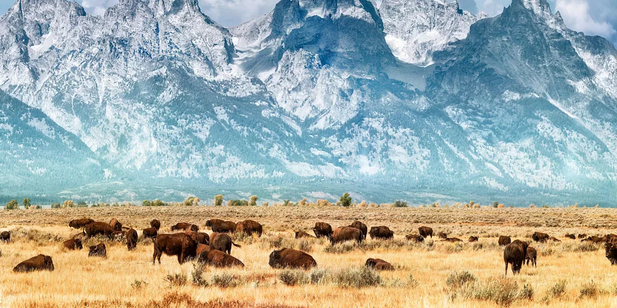 Five Epic National Parks Guided Tour