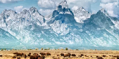 Five Epic National Parks Guided Tour