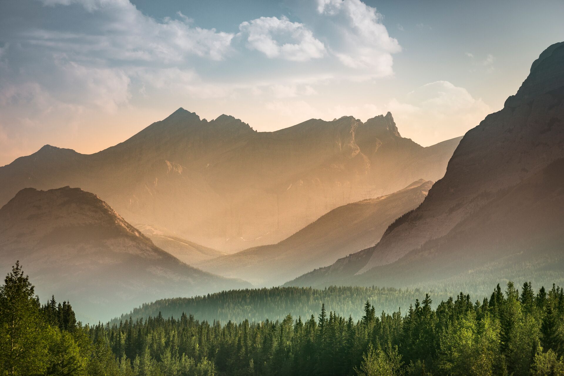 Mist rises over the forest in Banff National Park, Alberta, Canada