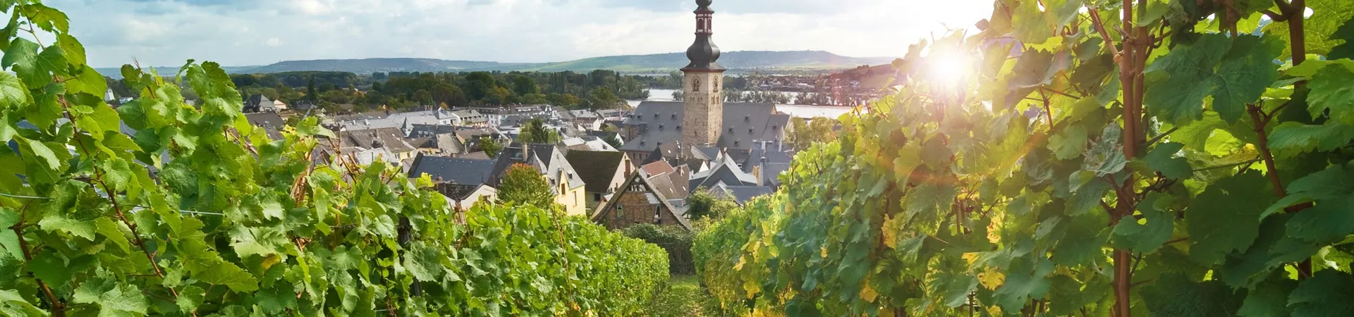 View Of Rüdesheim Am Rhein through the vineyards in Rhine Valley, Germany