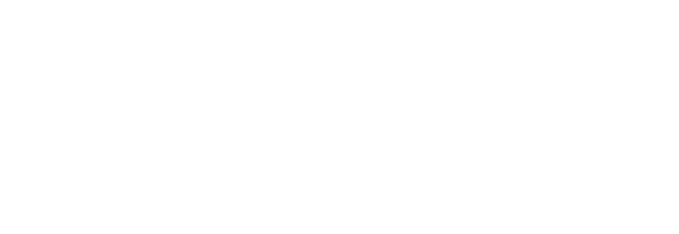 TT BOSS Asia Logo White