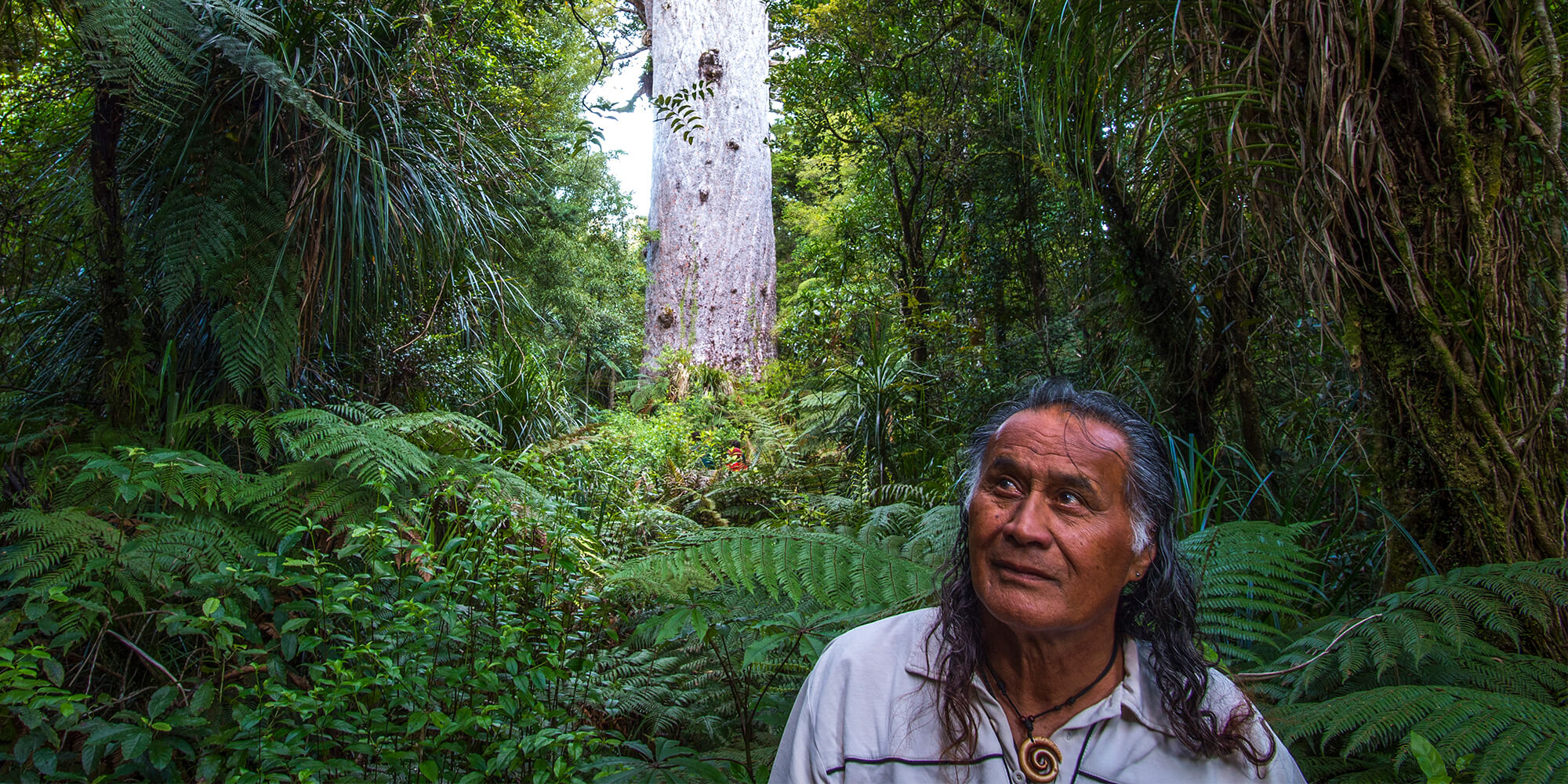 Man in Tane Mahuta forest, New Zealand