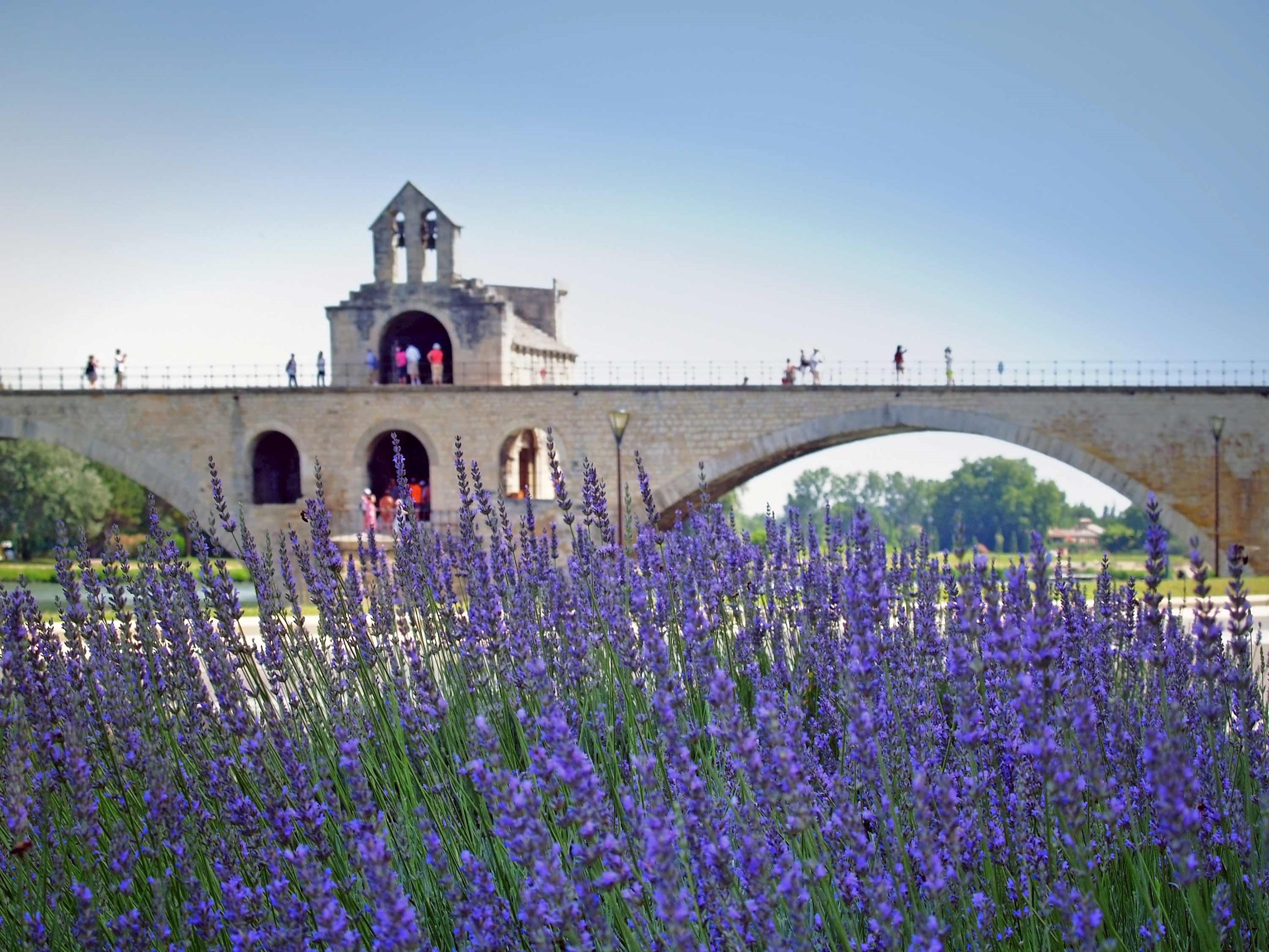 pont-d-avignon-avignon-france.jpg