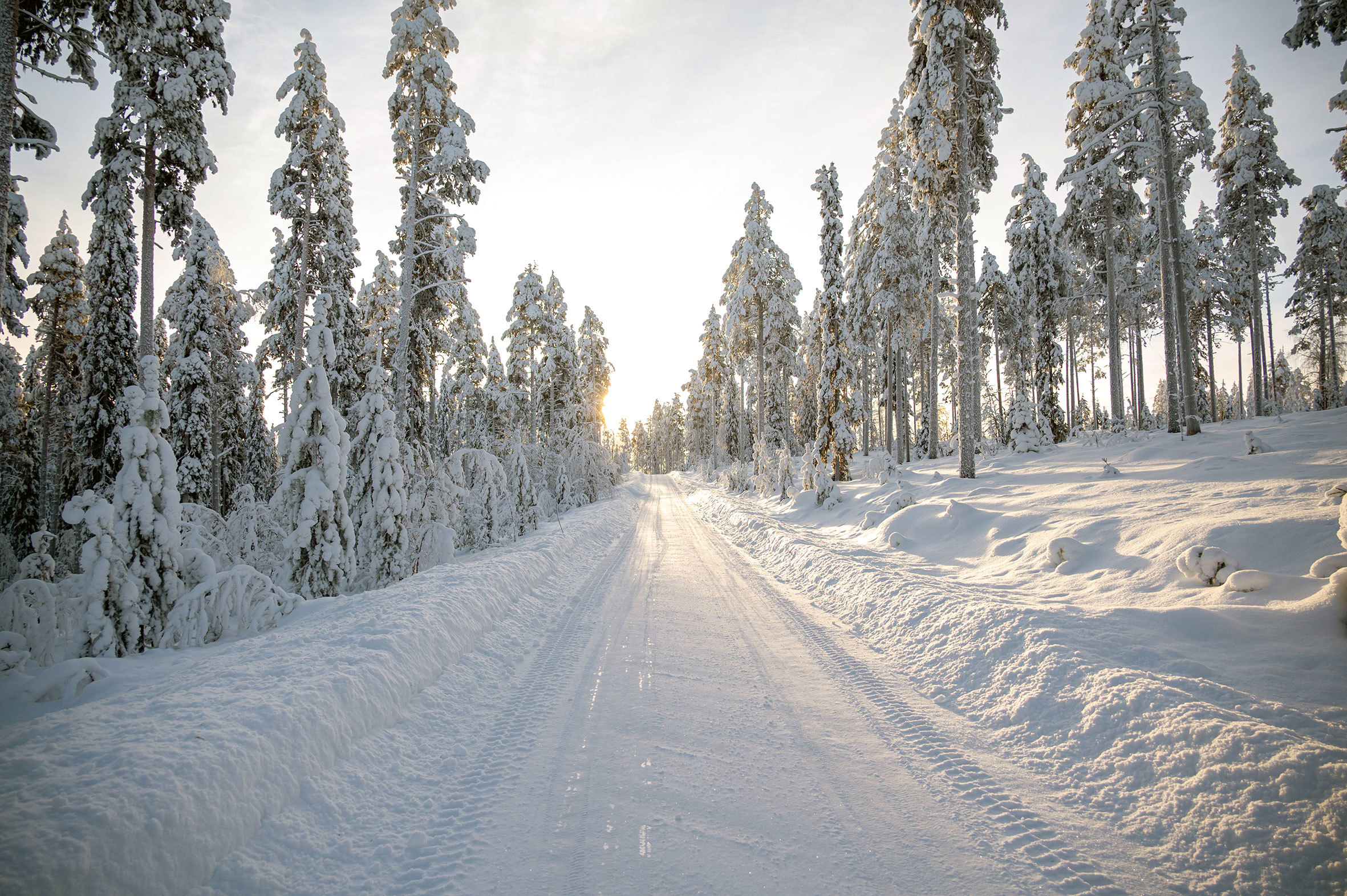 winter-forest-roads-north-rovaniemi-finland.jpg