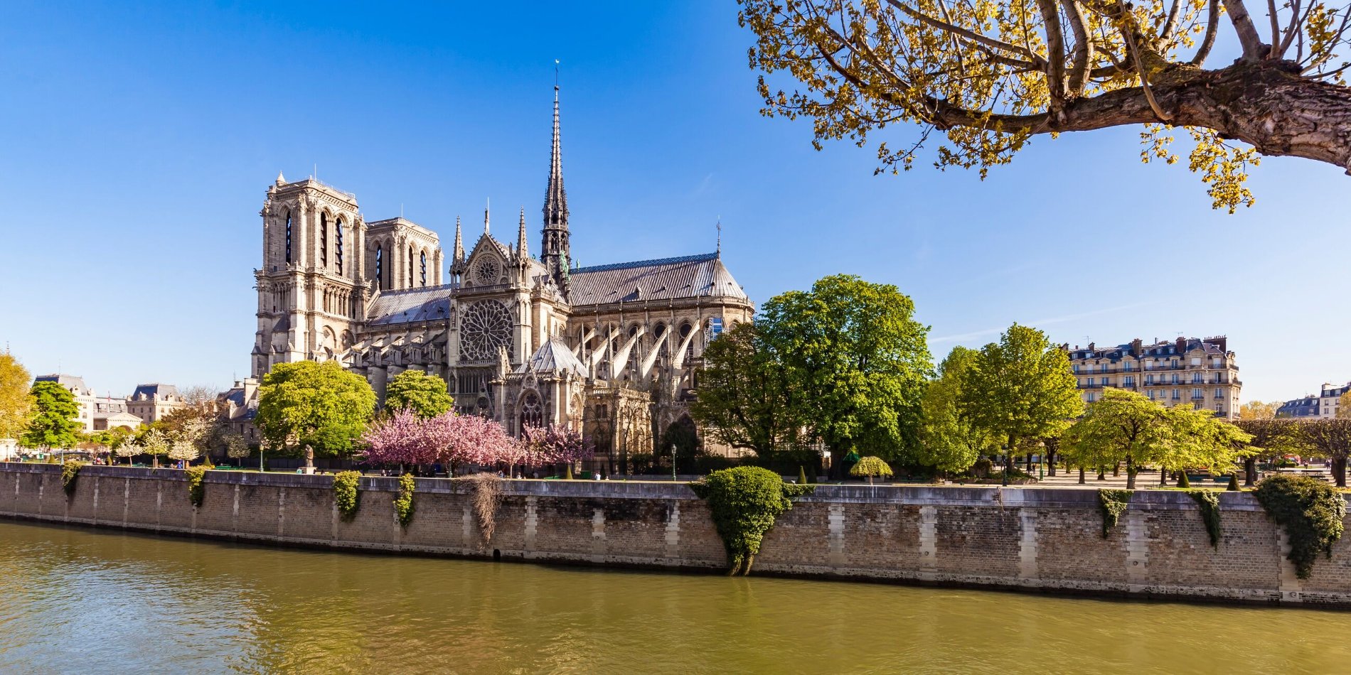 The Notre Dame de Paris on a sunny day in Paris, France. As seen from the River Seine