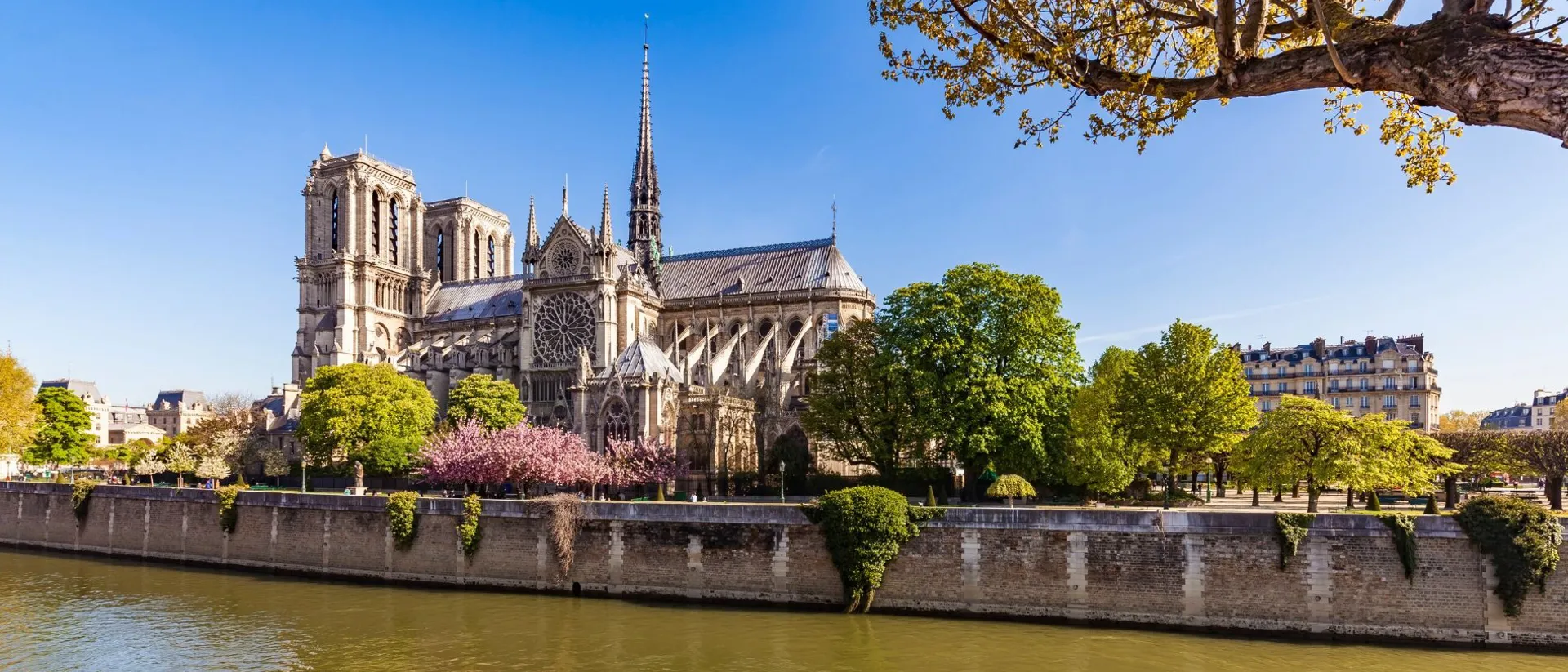The Notre Dame de Paris on a sunny day in Paris, France. As seen from the River Seine